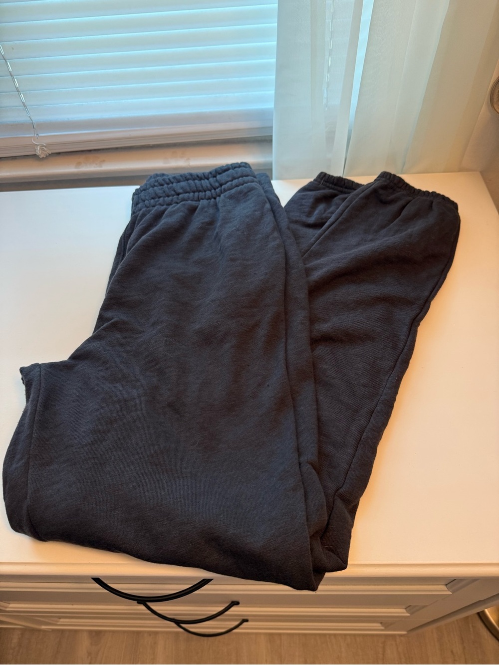 Free People Sweatpants